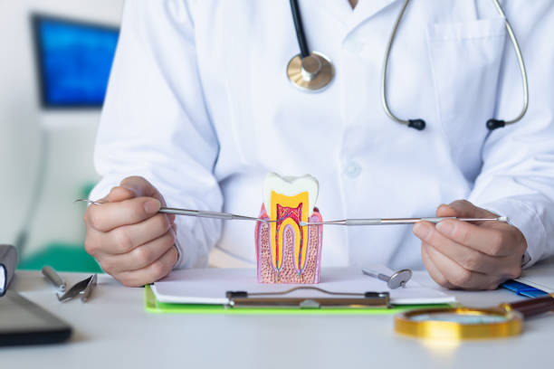 Best Emergency Treatment for Oral Infections in Fennville, MI